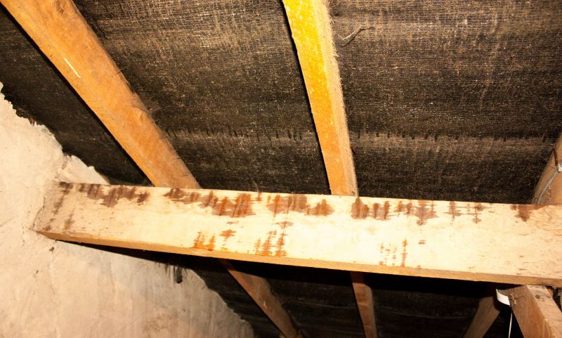 Attic Water Damage Repair in Conroe, TX